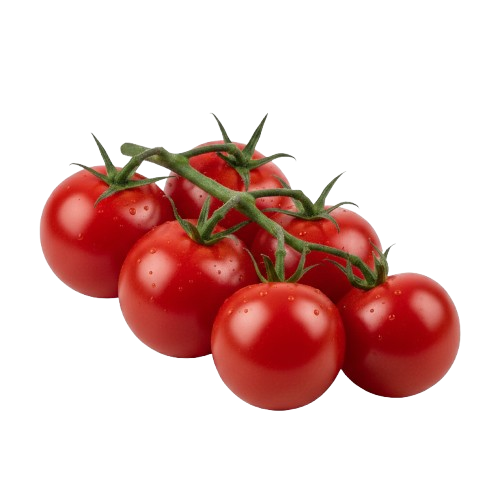 Fresh tomatoes harvest